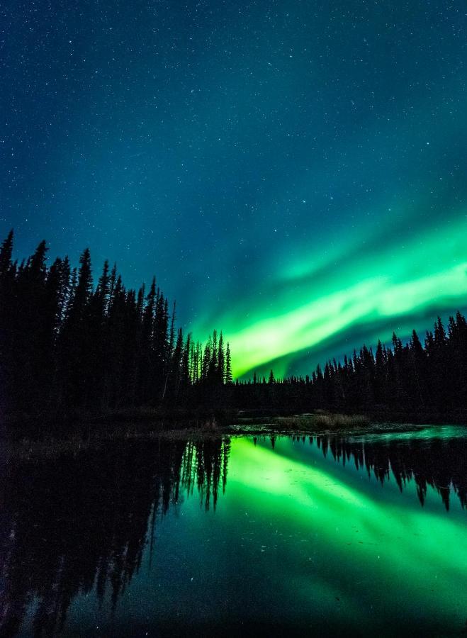 Backwoods Lodge Cantwell Экстерьер фото