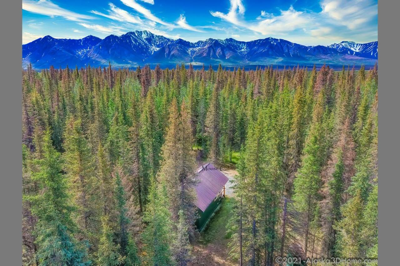 Backwoods Lodge Cantwell Экстерьер фото