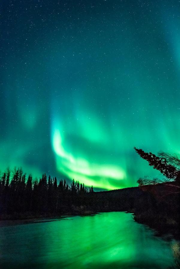 Backwoods Lodge Cantwell Экстерьер фото