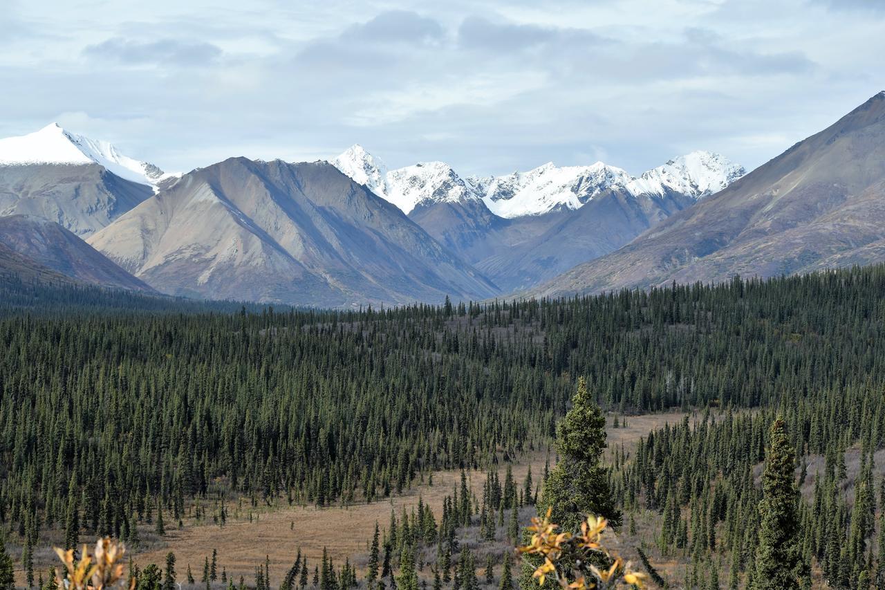 Backwoods Lodge Cantwell Экстерьер фото